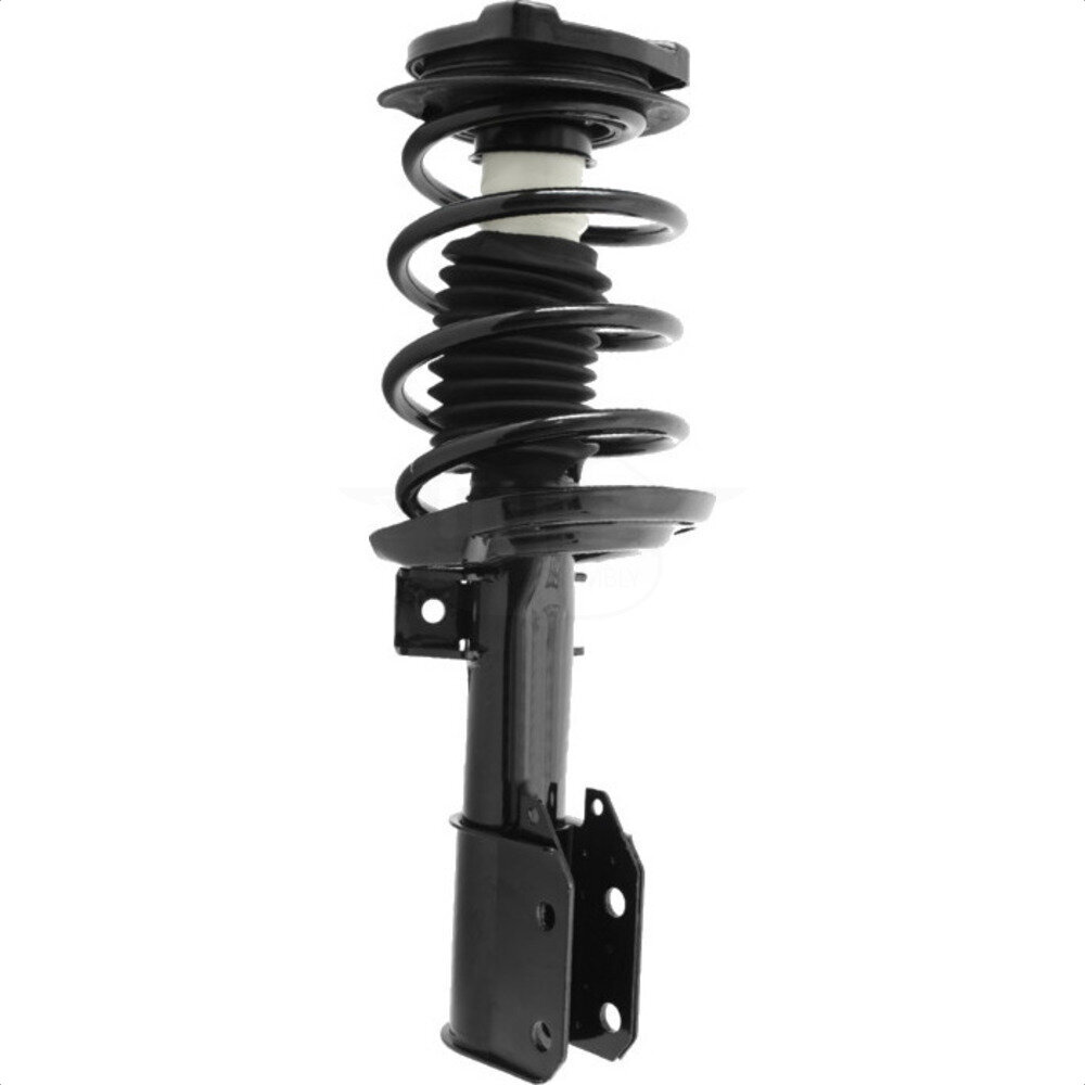 Suspension Strut Coil Spring Assembly