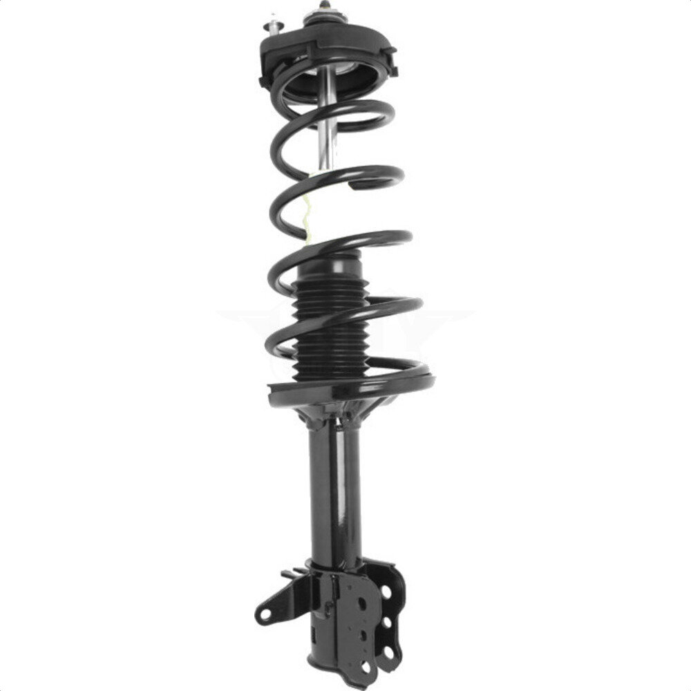 Suspension Strut Coil Spring Assembly