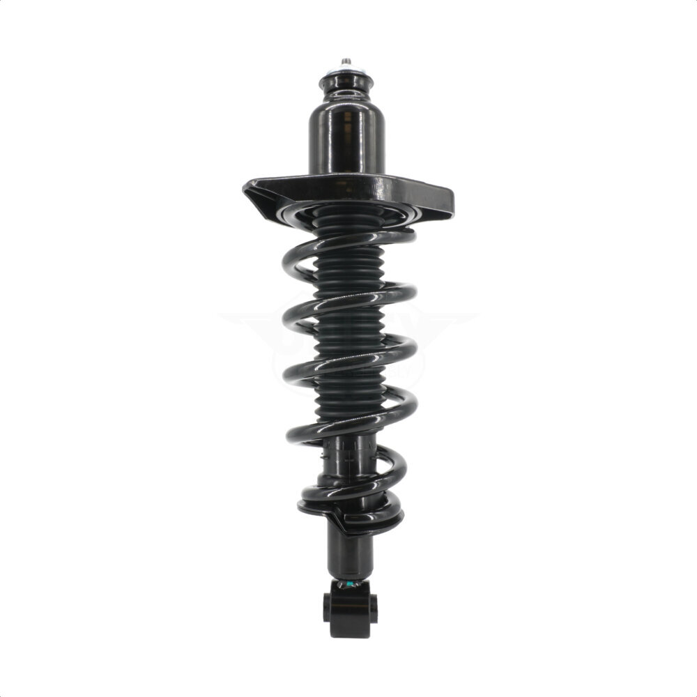 Suspension Strut Coil Spring Assembly