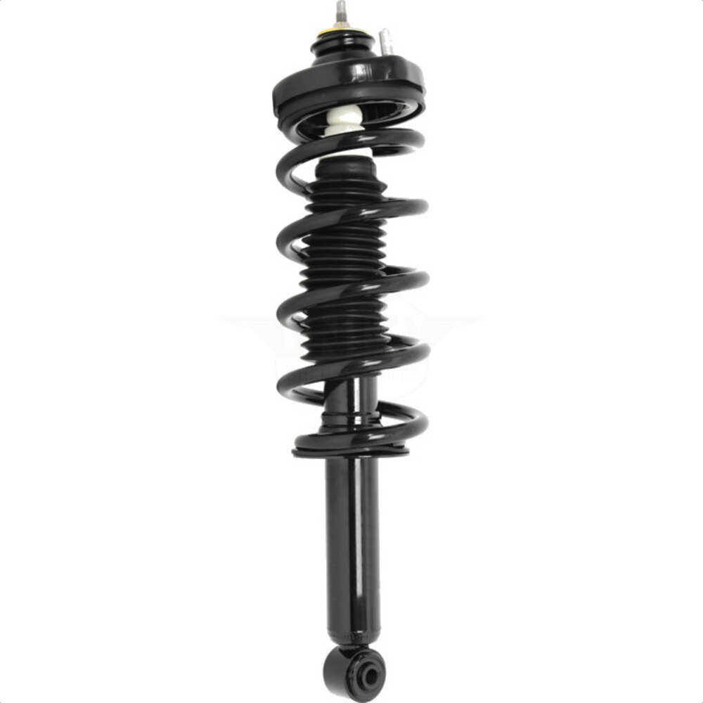 Suspension Strut Coil Spring Assembly