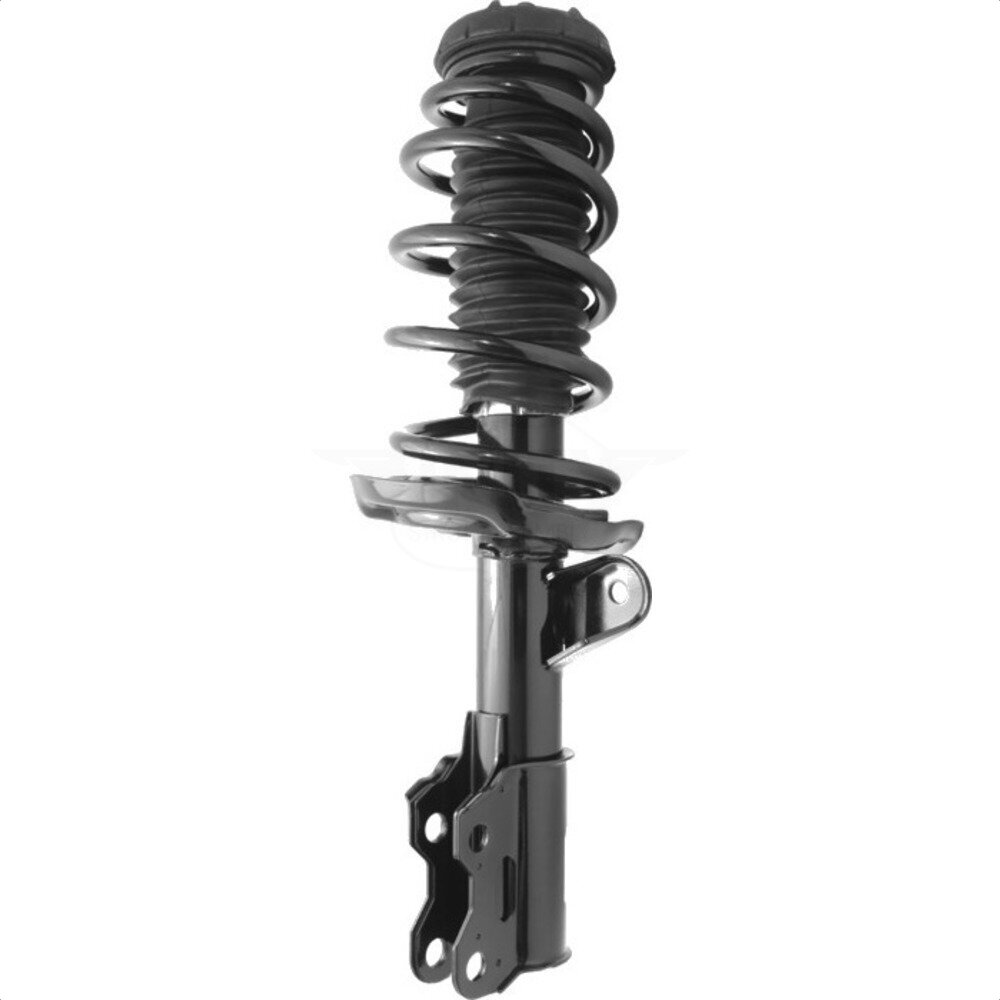 Suspension Strut Coil Spring Assembly