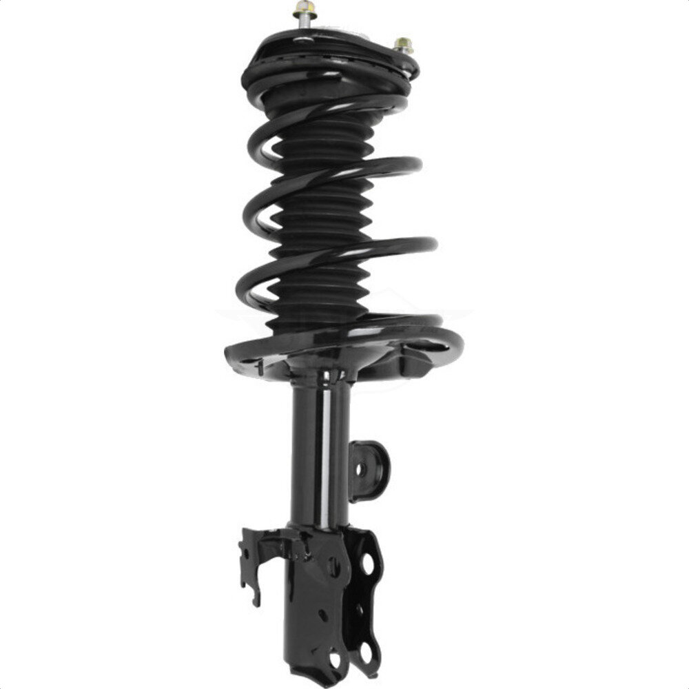 Suspension Strut Coil Spring Assembly