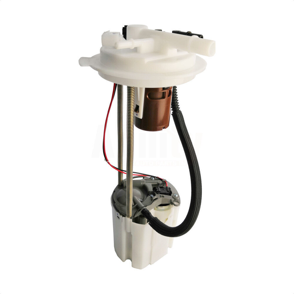 Fuel Pump Module Assembly