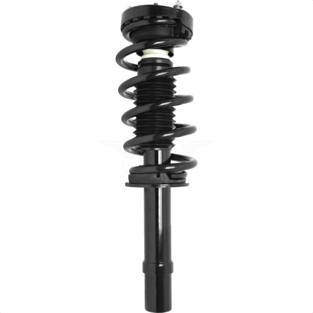 Suspension Strut Coil Spring Assembly