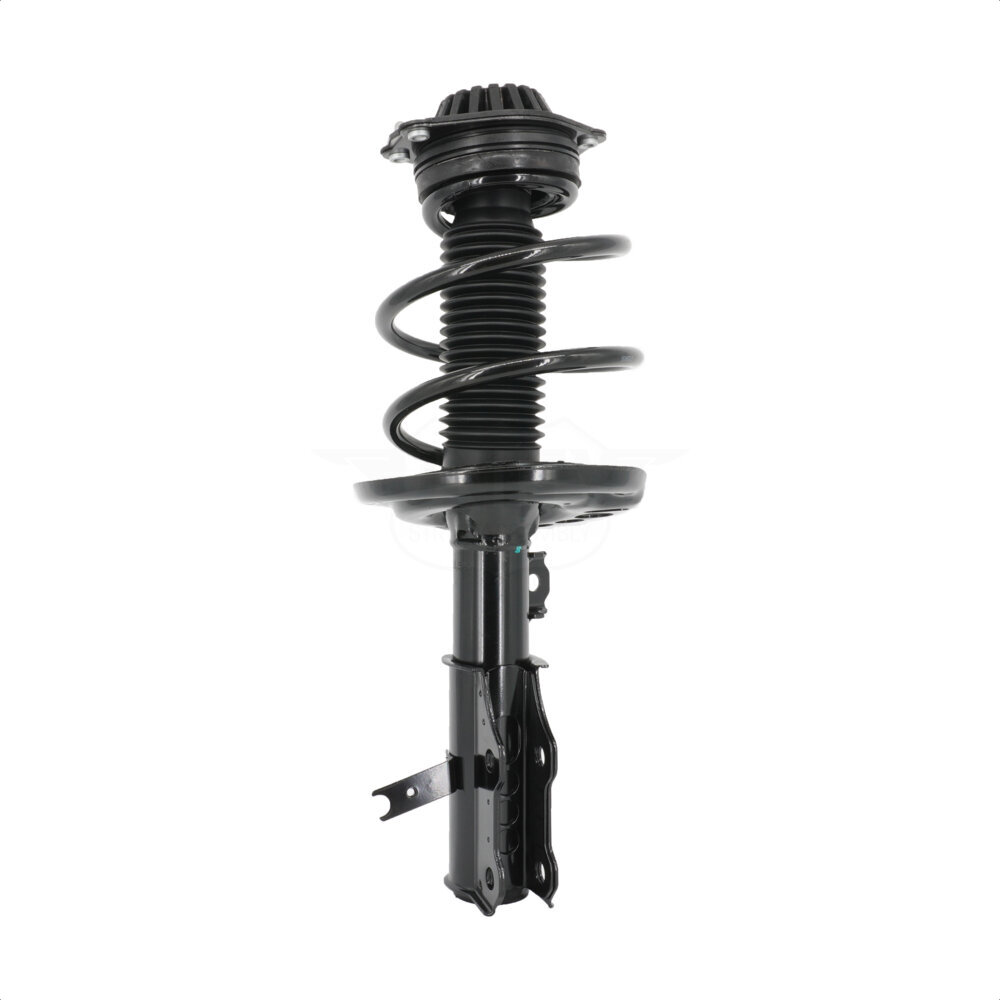Suspension Strut Coil Spring Assembly