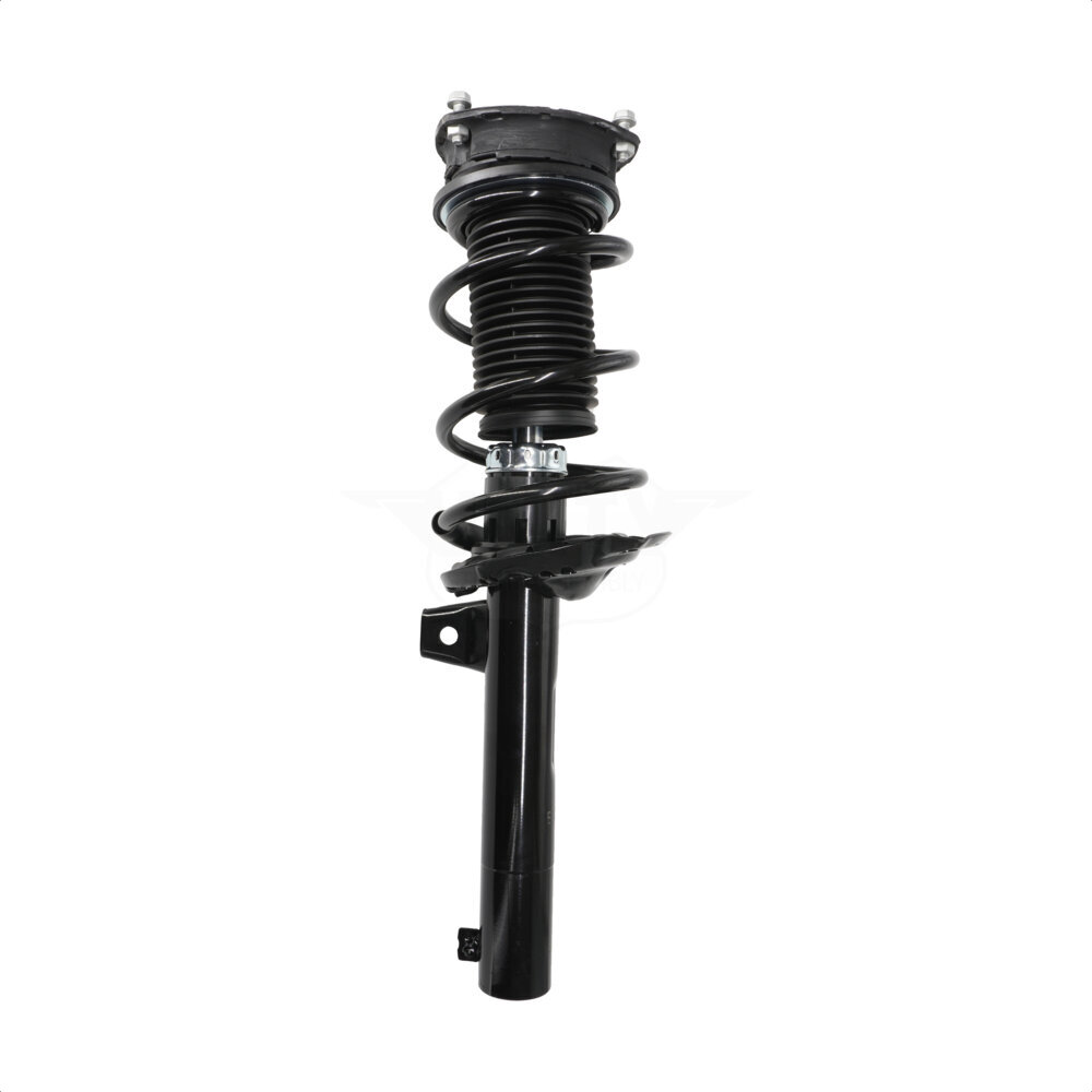 Suspension Strut Coil Spring Assembly