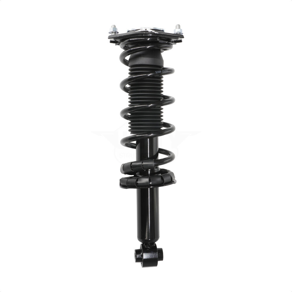 Suspension Strut Coil Spring Assembly