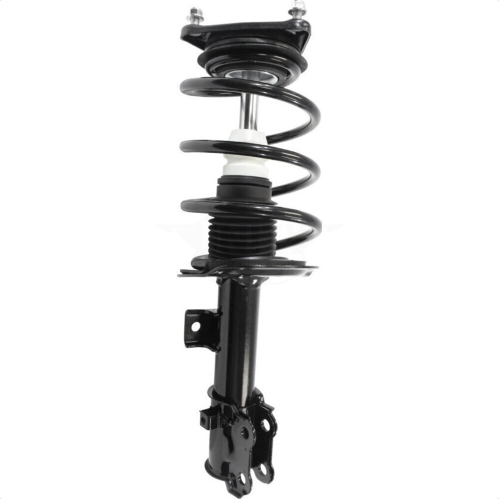 Suspension Strut Coil Spring Assembly