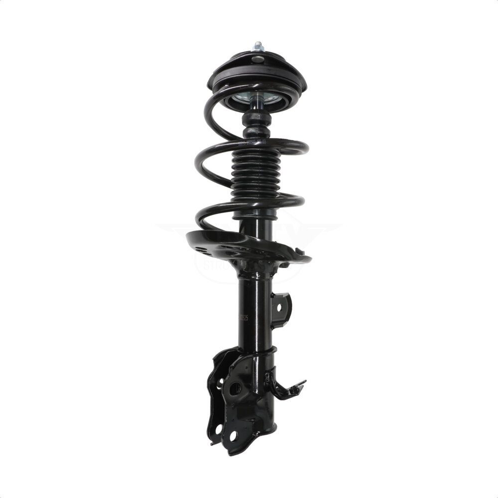 Suspension Strut Coil Spring Assembly