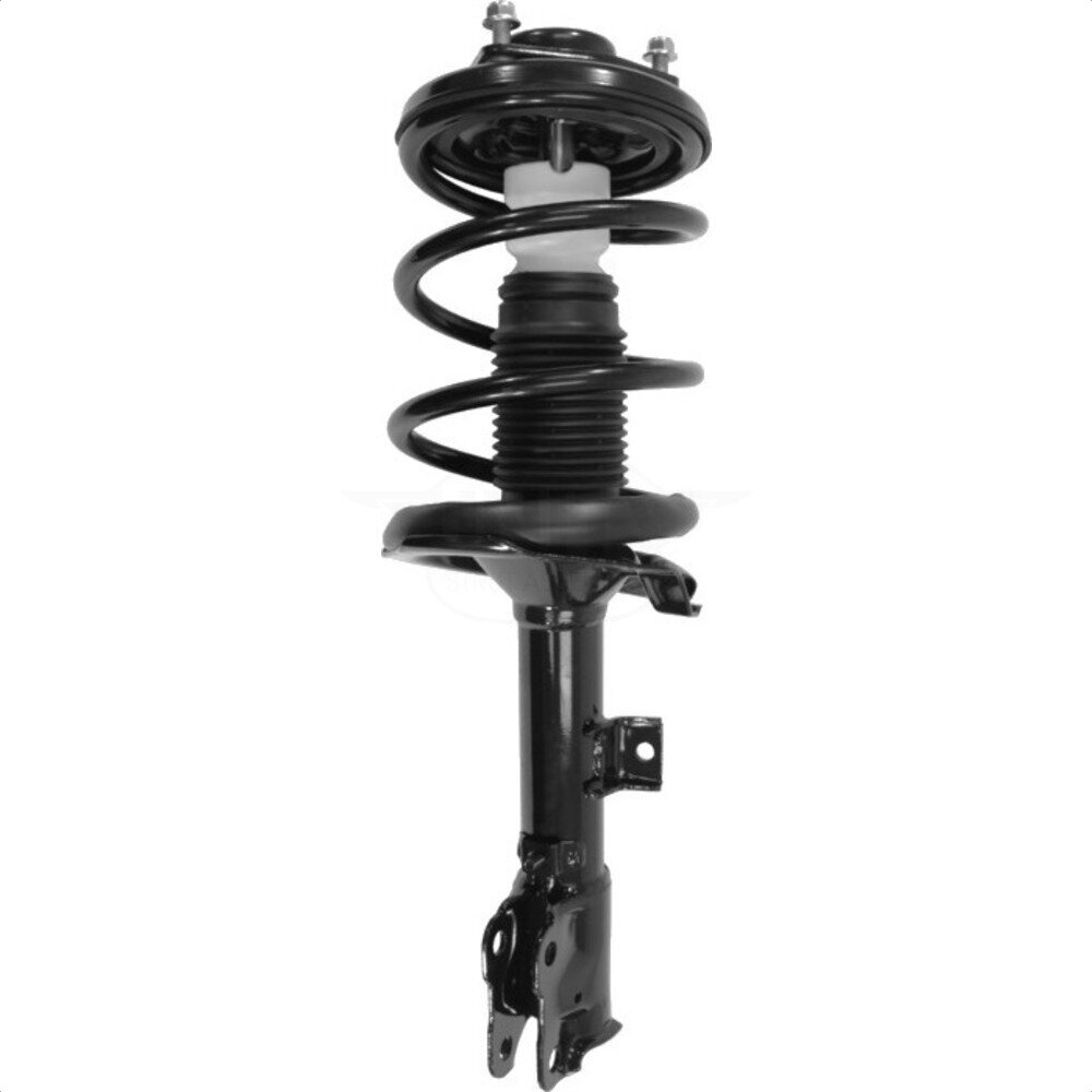 Suspension Strut Coil Spring Assembly