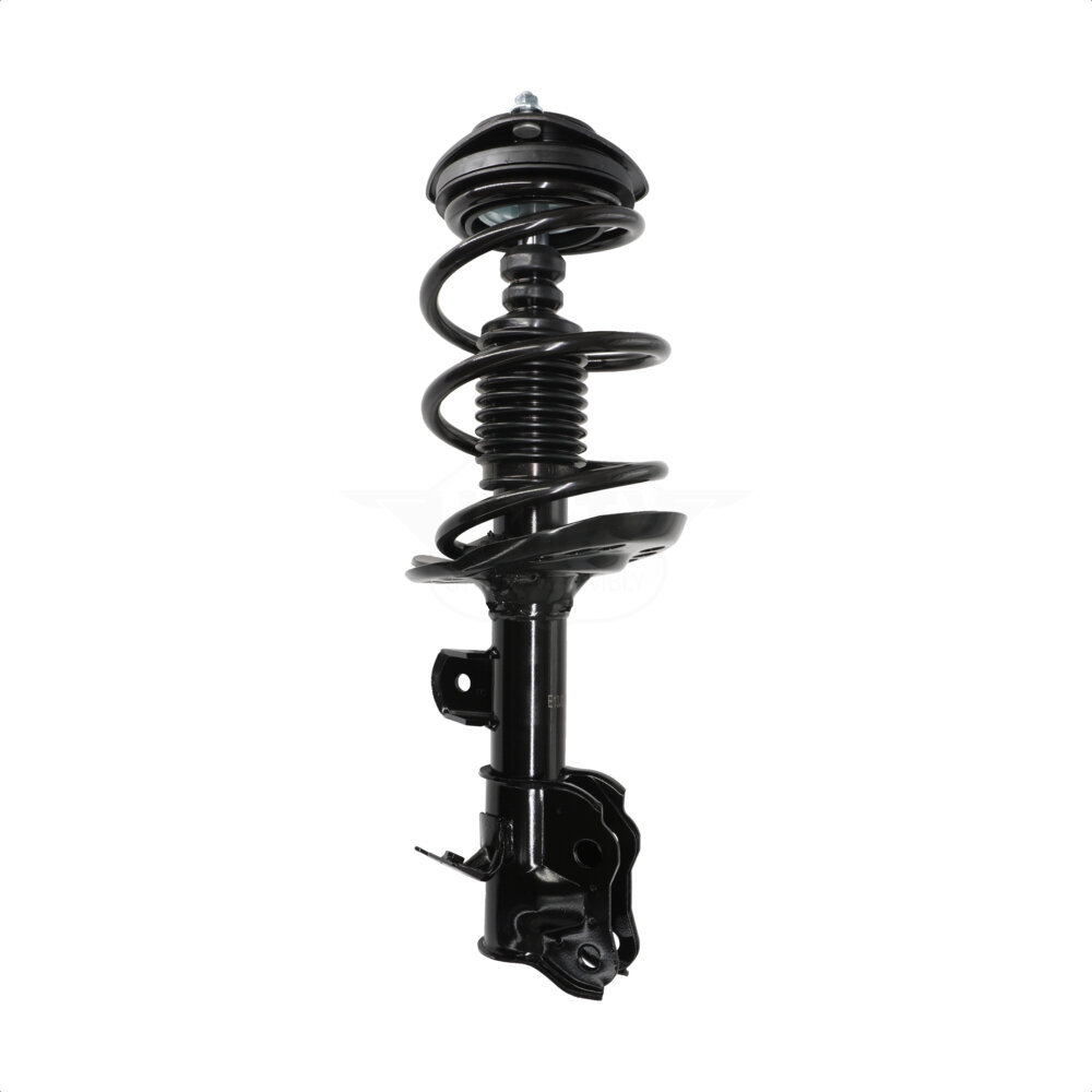 Suspension Strut Coil Spring Assembly