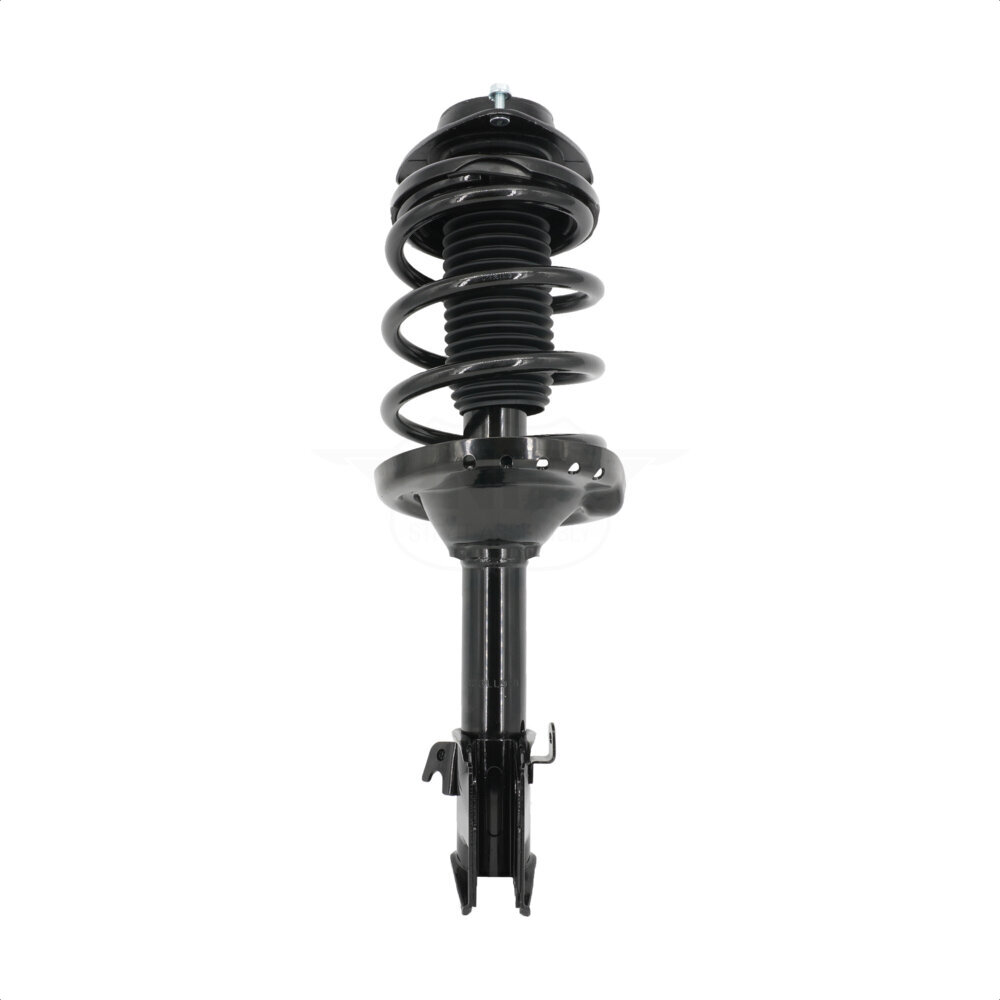 Suspension Strut Coil Spring Assembly