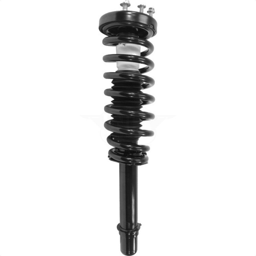 Suspension Strut Coil Spring Assembly