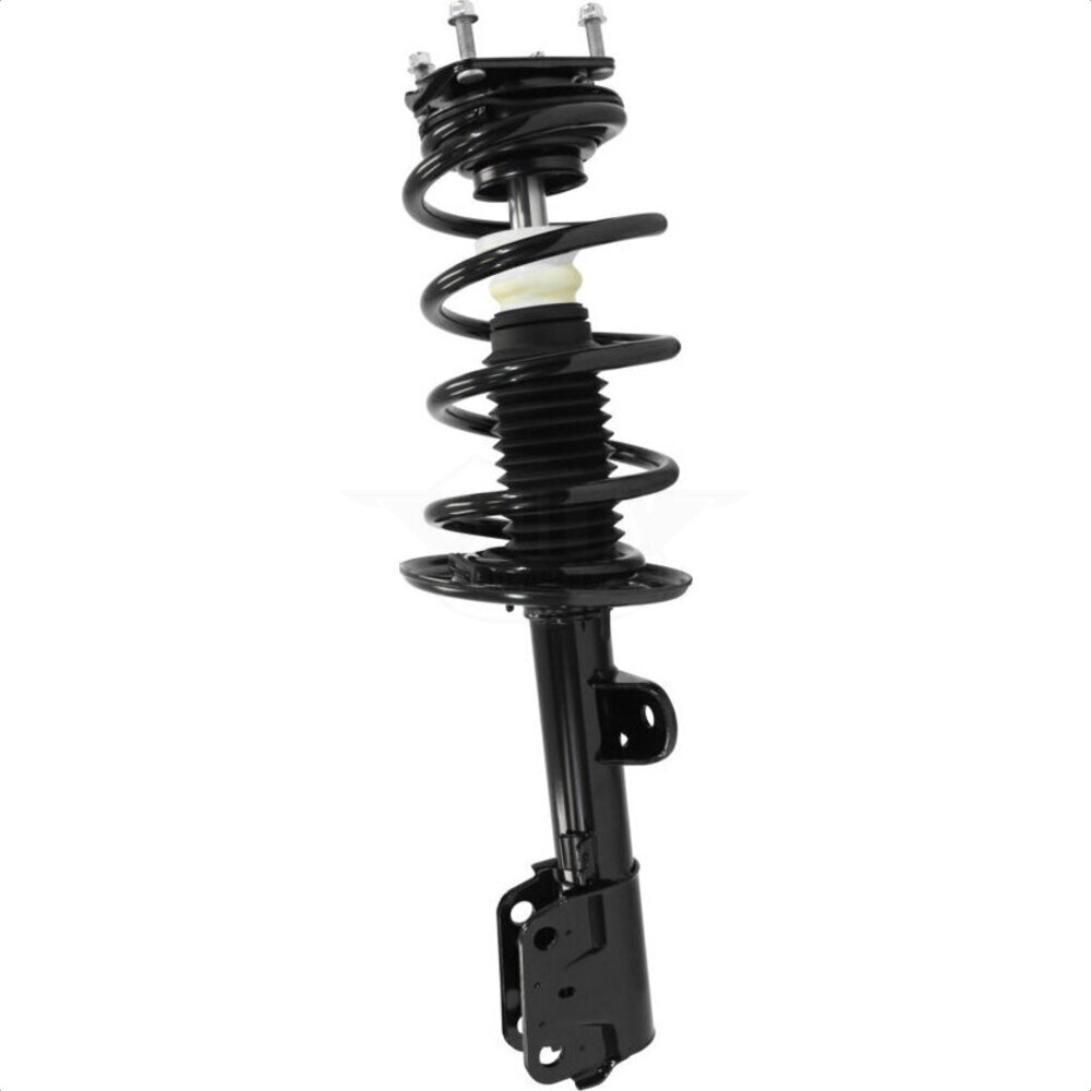 Suspension Strut Coil Spring Assembly