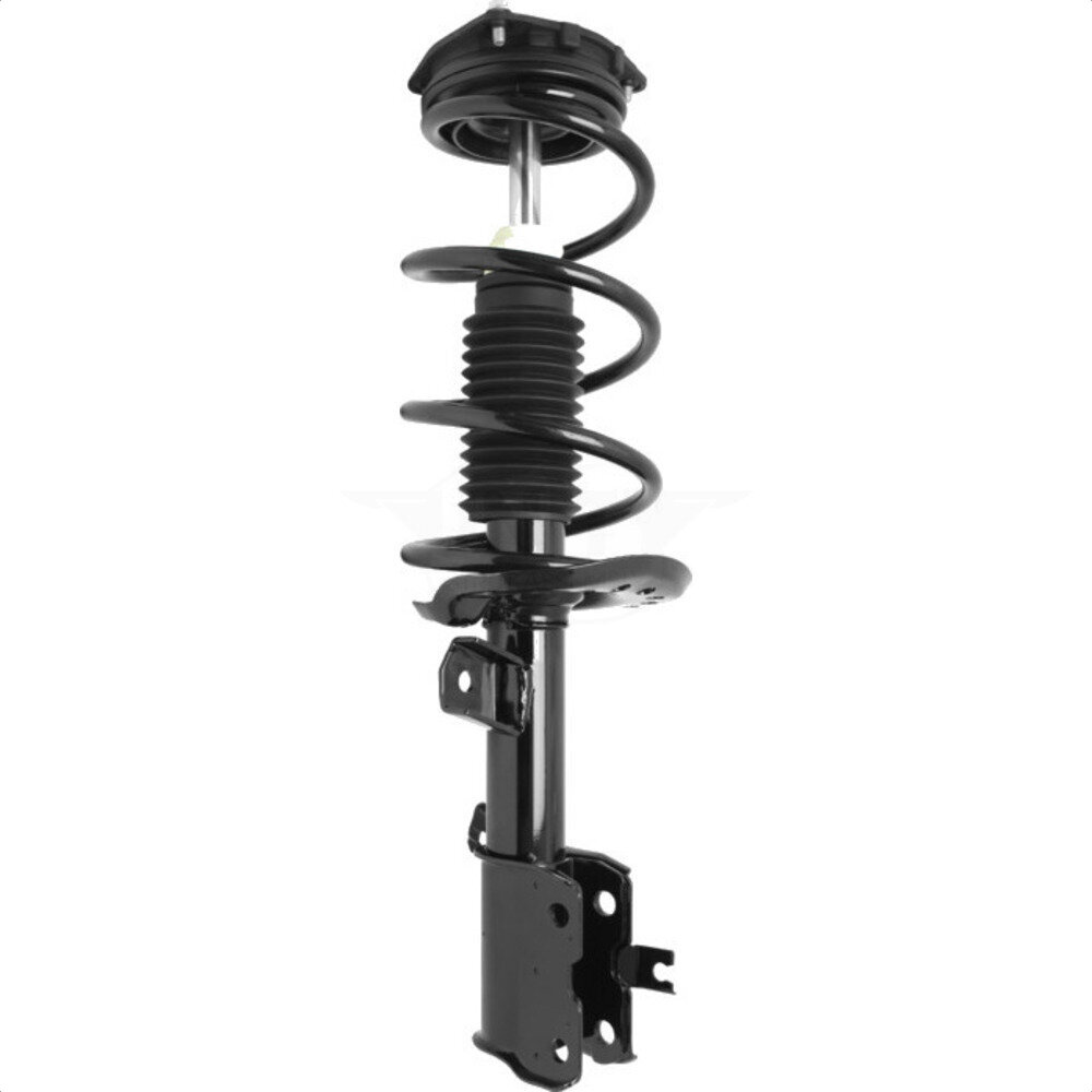 Suspension Strut Coil Spring Assembly