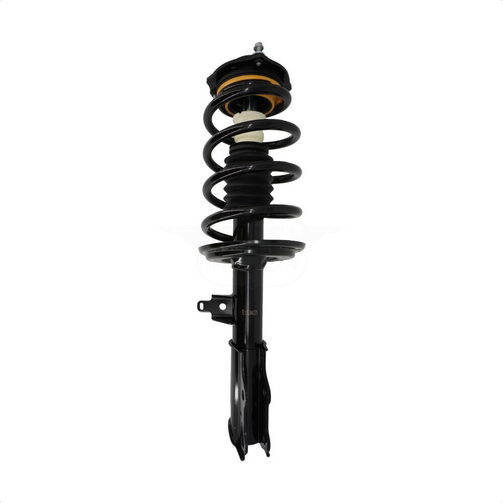 Suspension Strut Coil Spring Assembly
