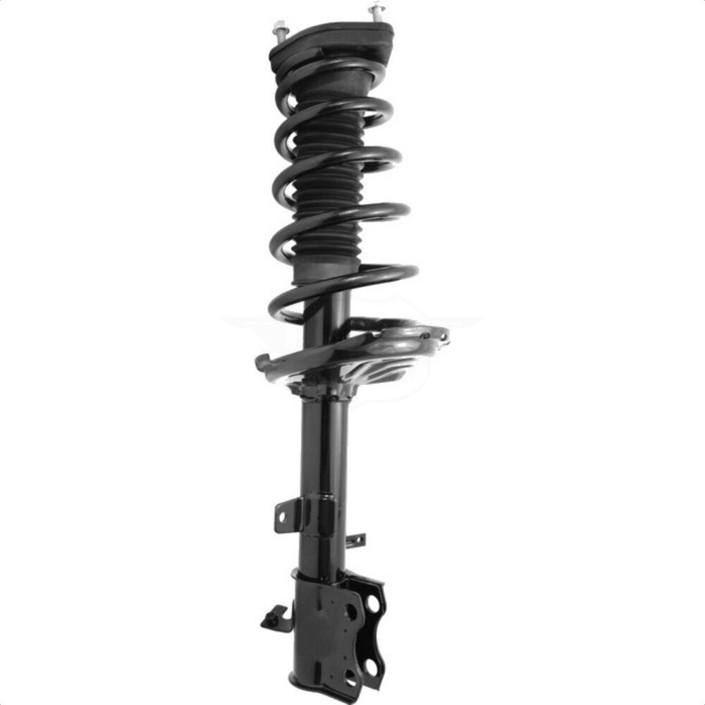 Suspension Strut Coil Spring Assembly