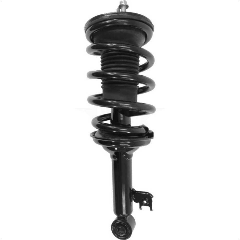Suspension Strut Coil Spring Assembly