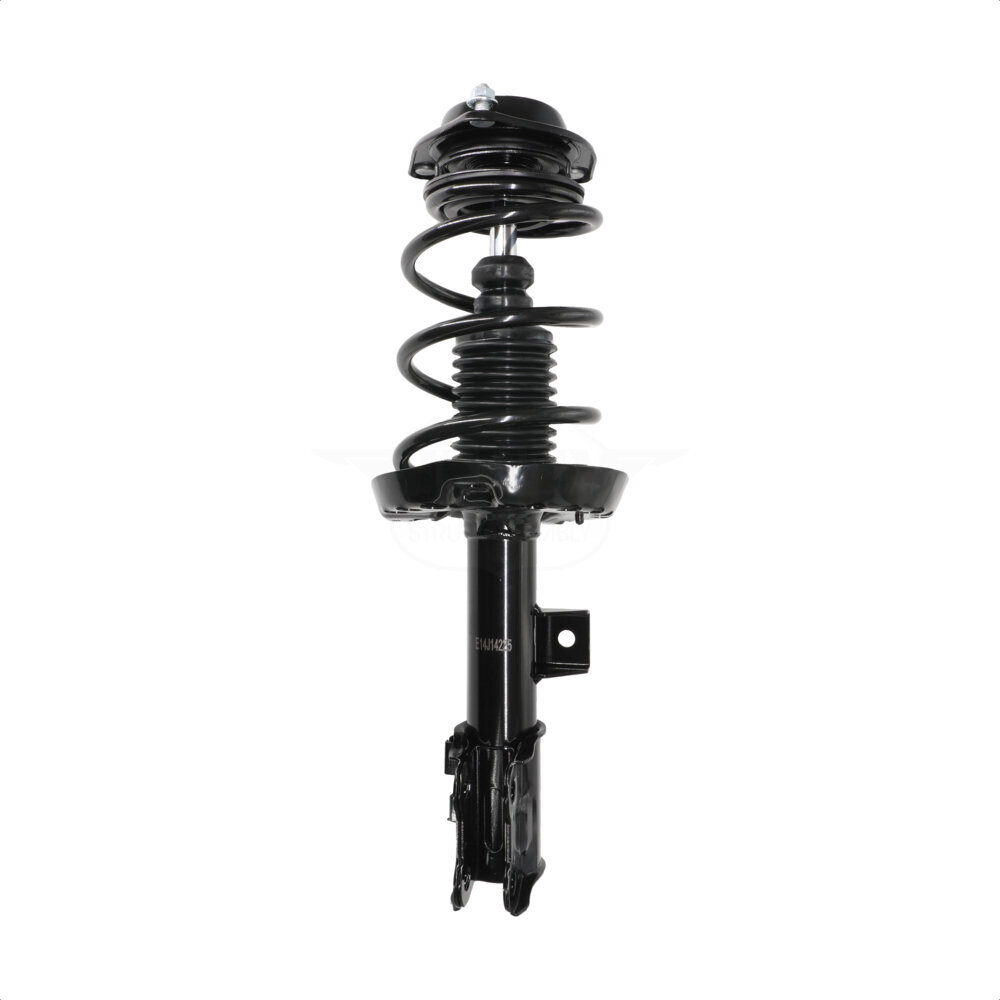 Suspension Strut Coil Spring Assembly