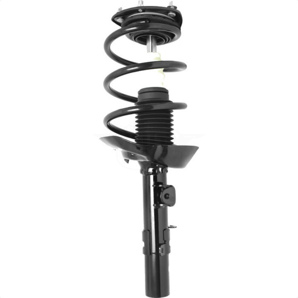 Suspension Strut Coil Spring Assembly