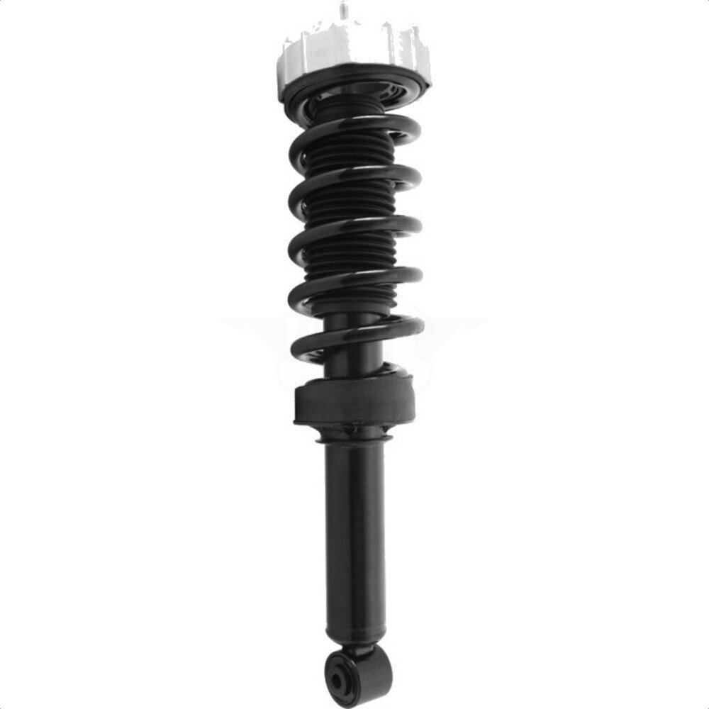 Suspension Strut Coil Spring Assembly