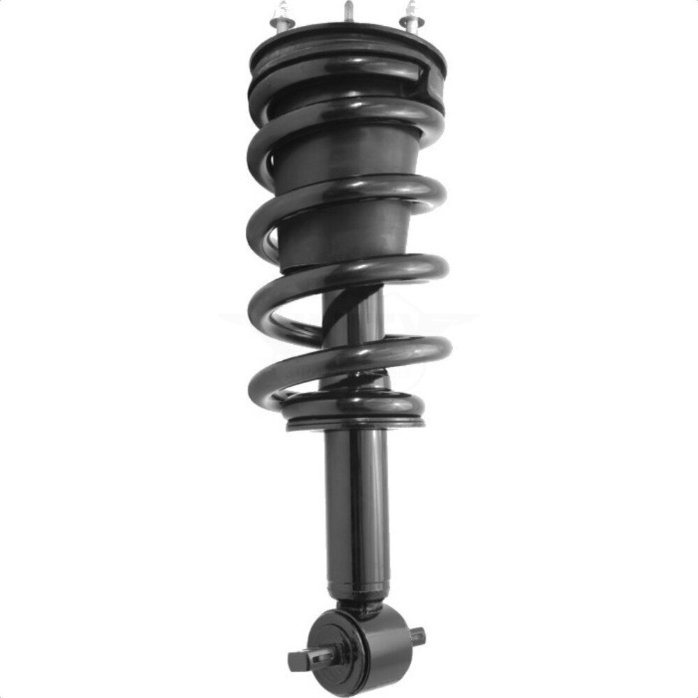 Suspension Strut Coil Spring Assembly