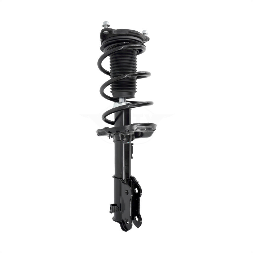Suspension Strut Coil Spring Assembly