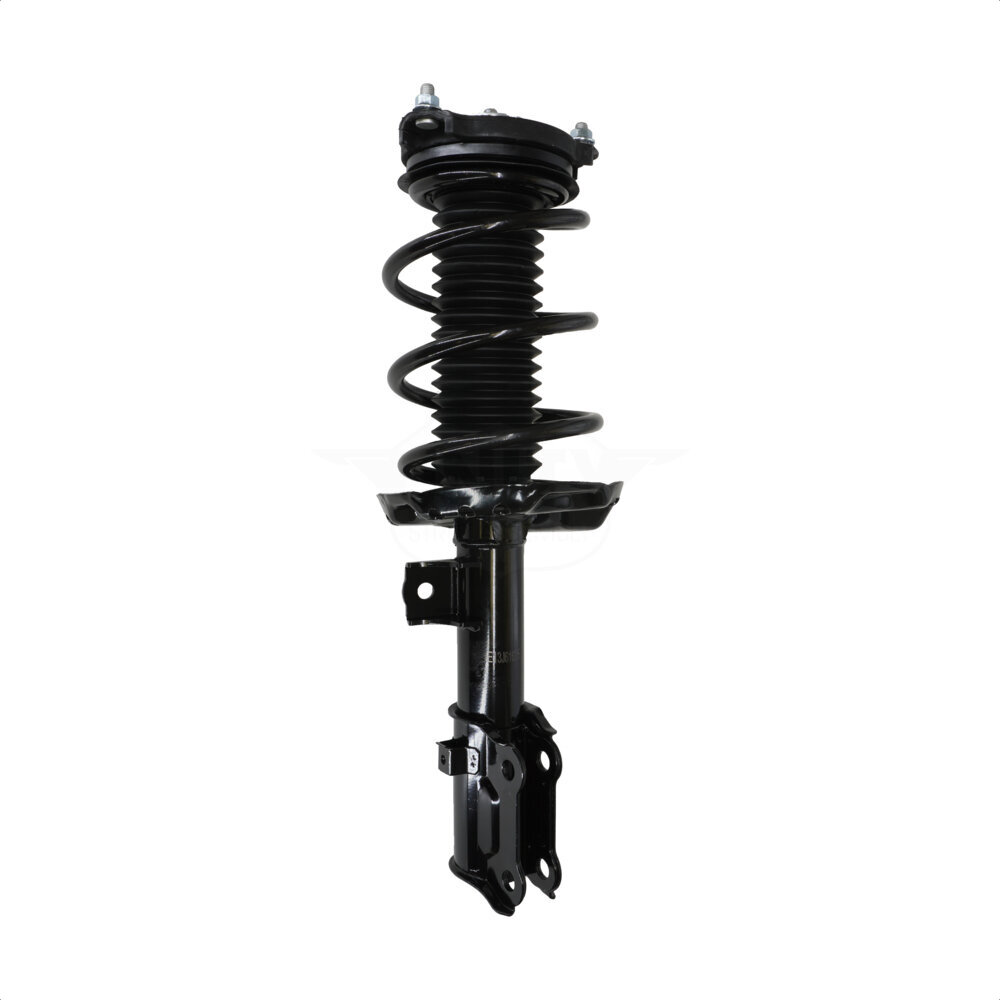 Suspension Strut Coil Spring Assembly
