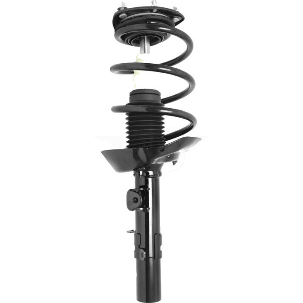 Suspension Strut Coil Spring Assembly