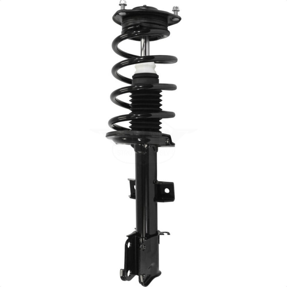 Suspension Strut Coil Spring Assembly