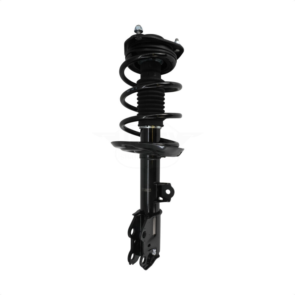 Suspension Strut Coil Spring Assembly