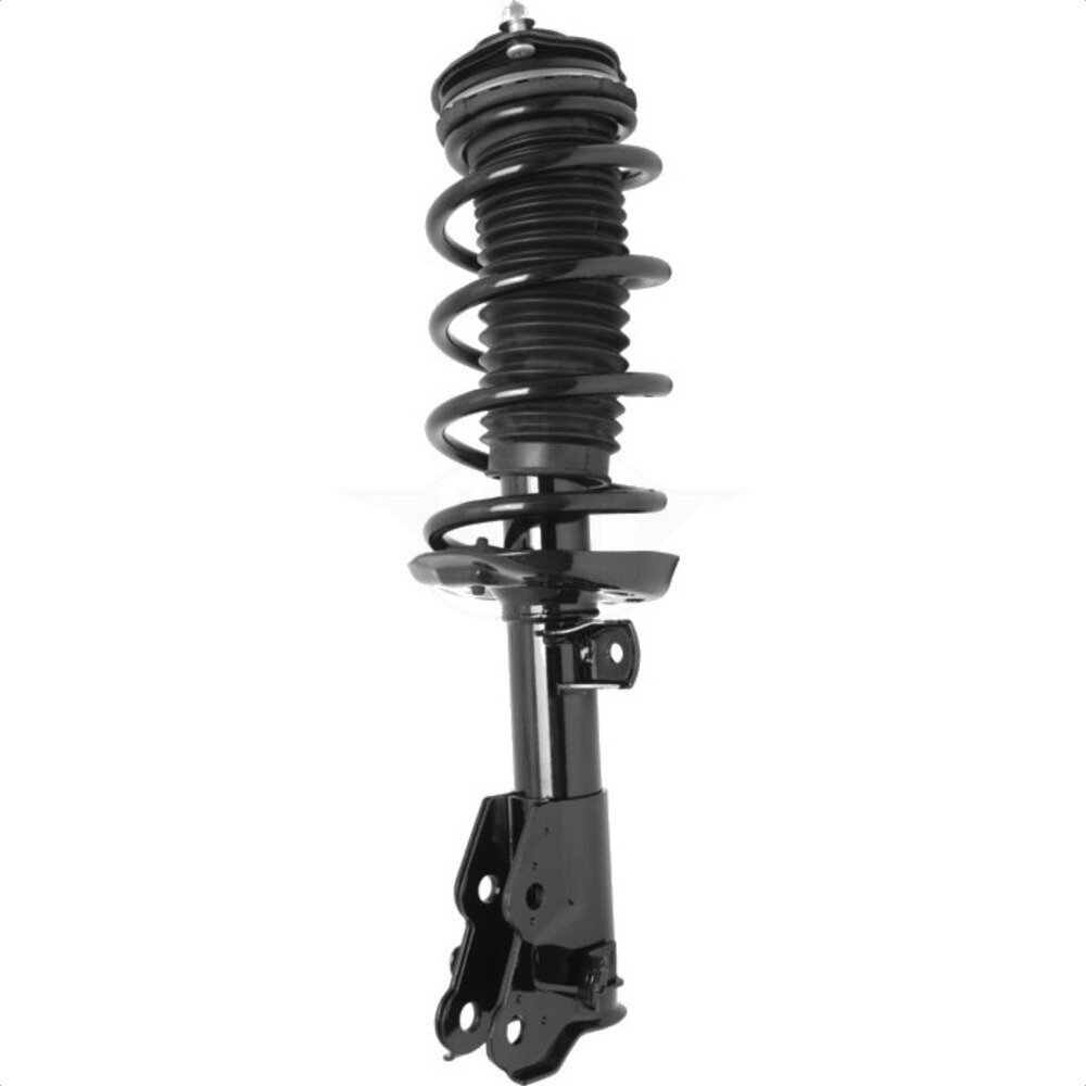 Suspension Strut Coil Spring Assembly