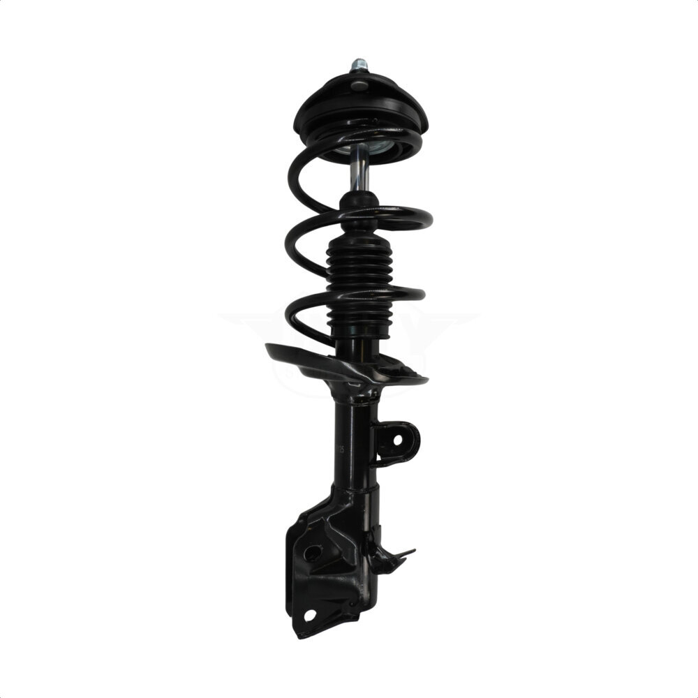 Suspension Strut Coil Spring Assembly