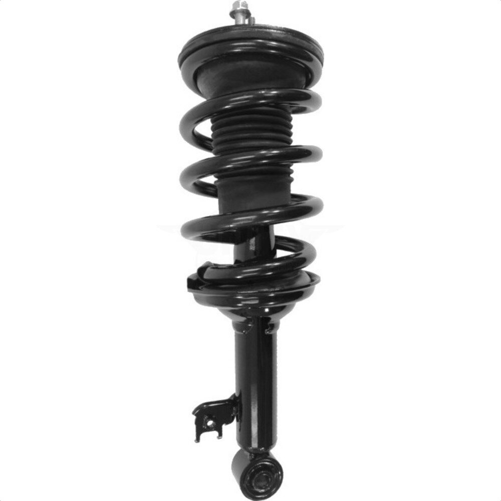 Suspension Strut Coil Spring Assembly