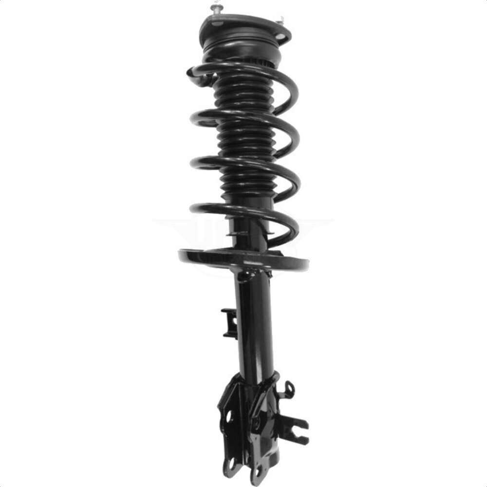 Suspension Strut Coil Spring Assembly