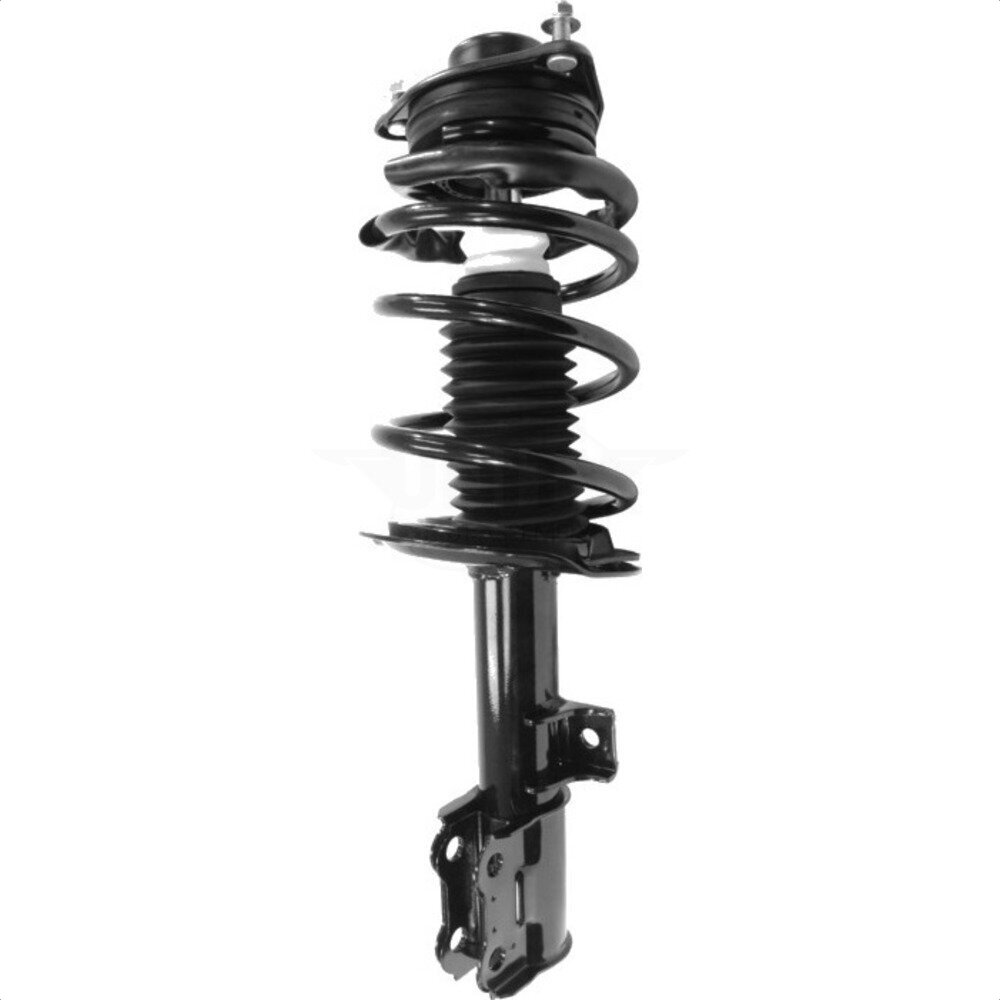 Suspension Strut Coil Spring Assembly