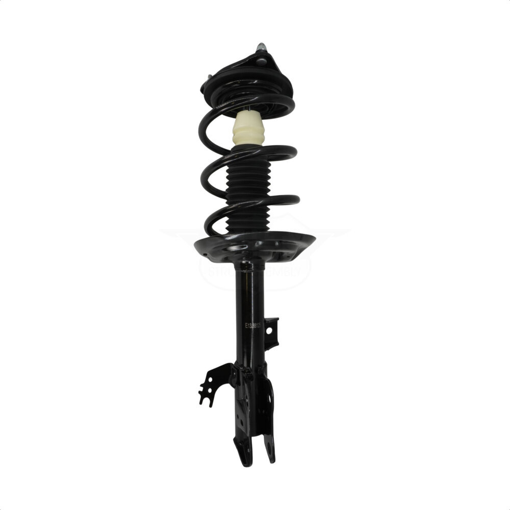 Suspension Strut Coil Spring Assembly