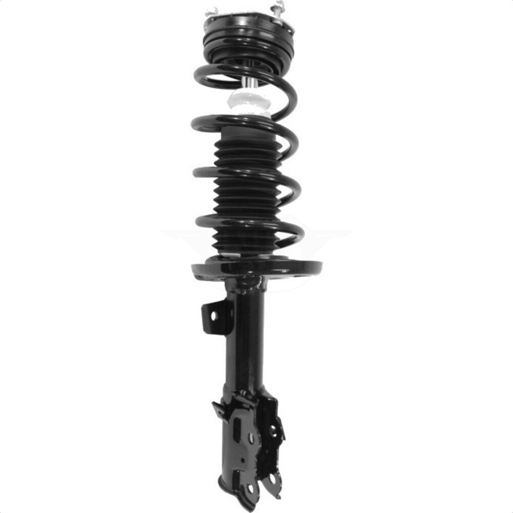Suspension Strut Coil Spring Assembly