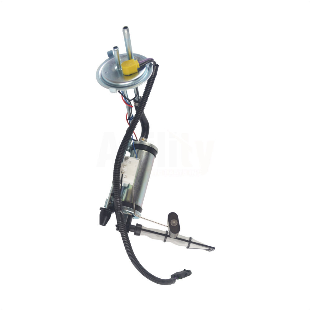 Fuel Pump Sender Assembly