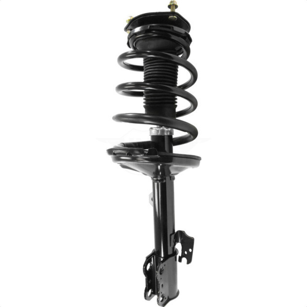 Suspension Strut Coil Spring Assembly