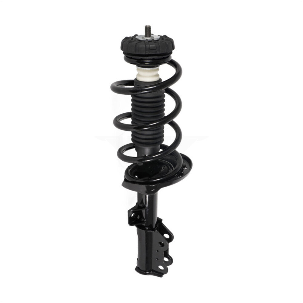 Suspension Strut Coil Spring Assembly