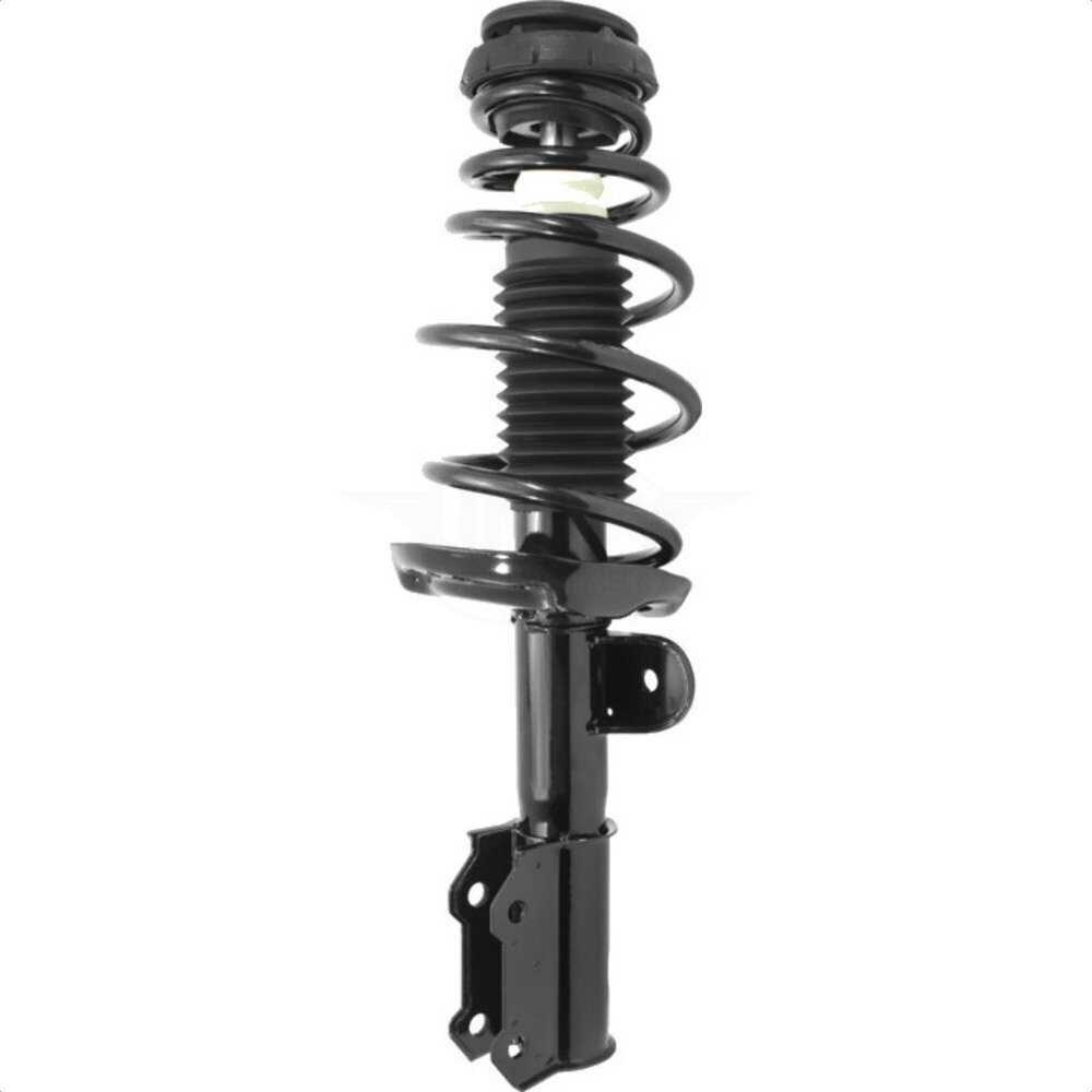 Suspension Strut Coil Spring Assembly
