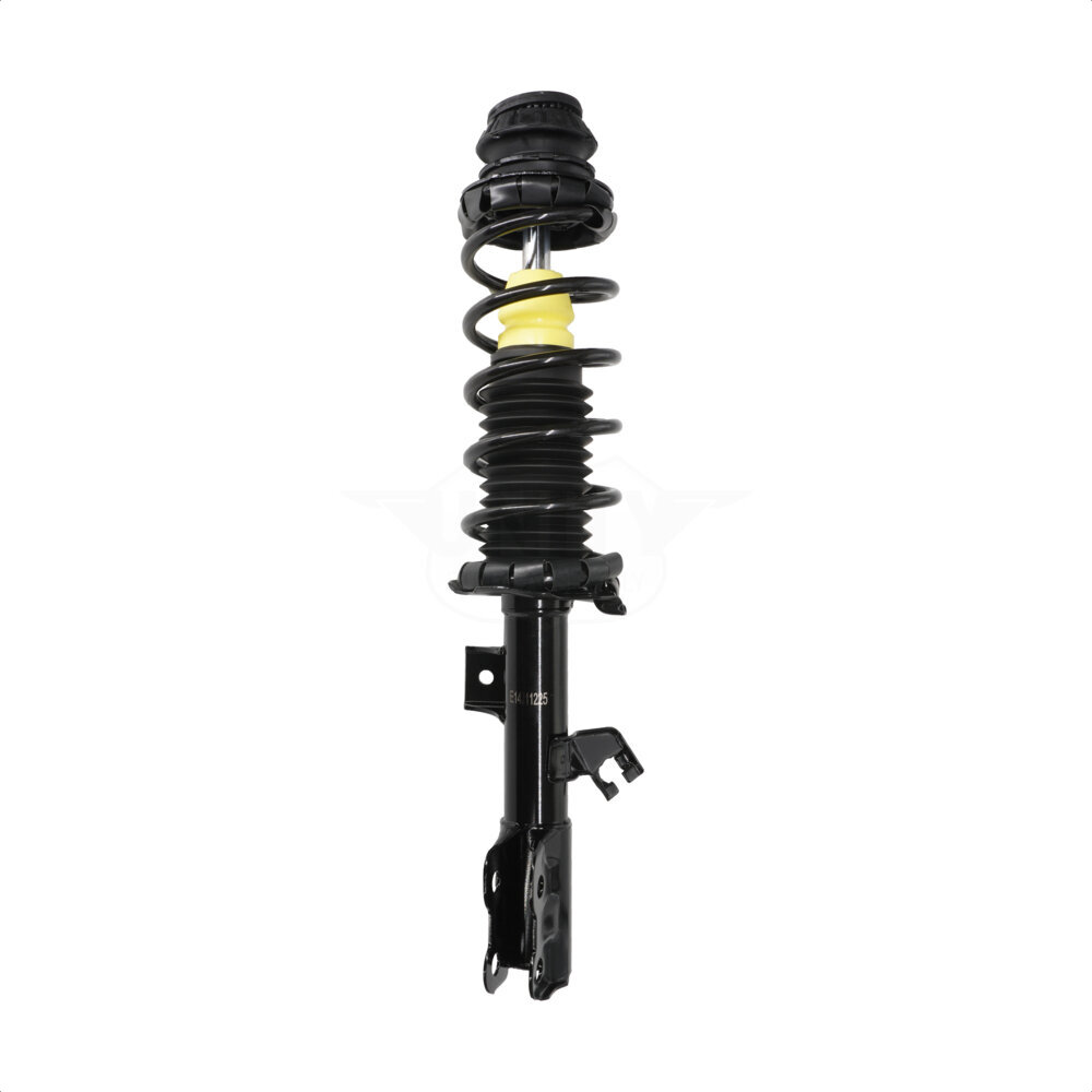 Suspension Strut Coil Spring Assembly