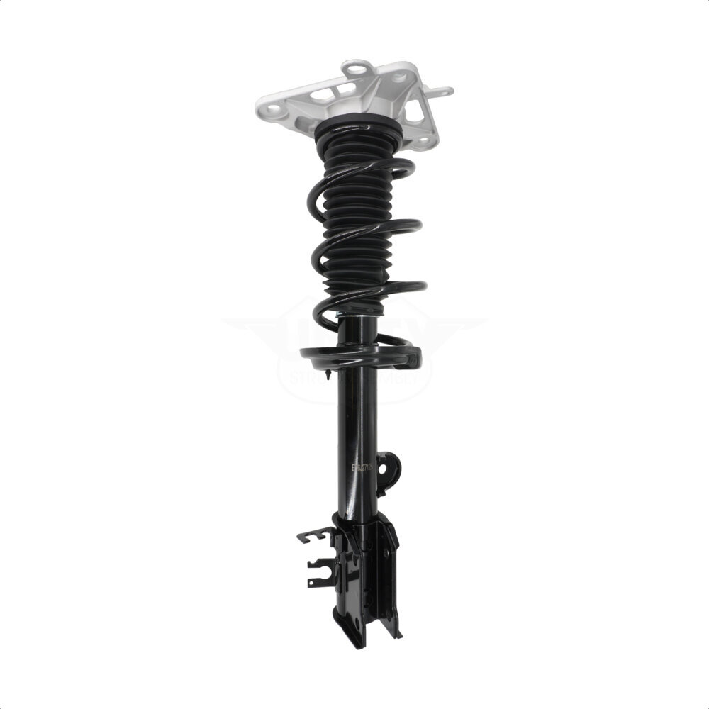 Suspension Strut Coil Spring Assembly
