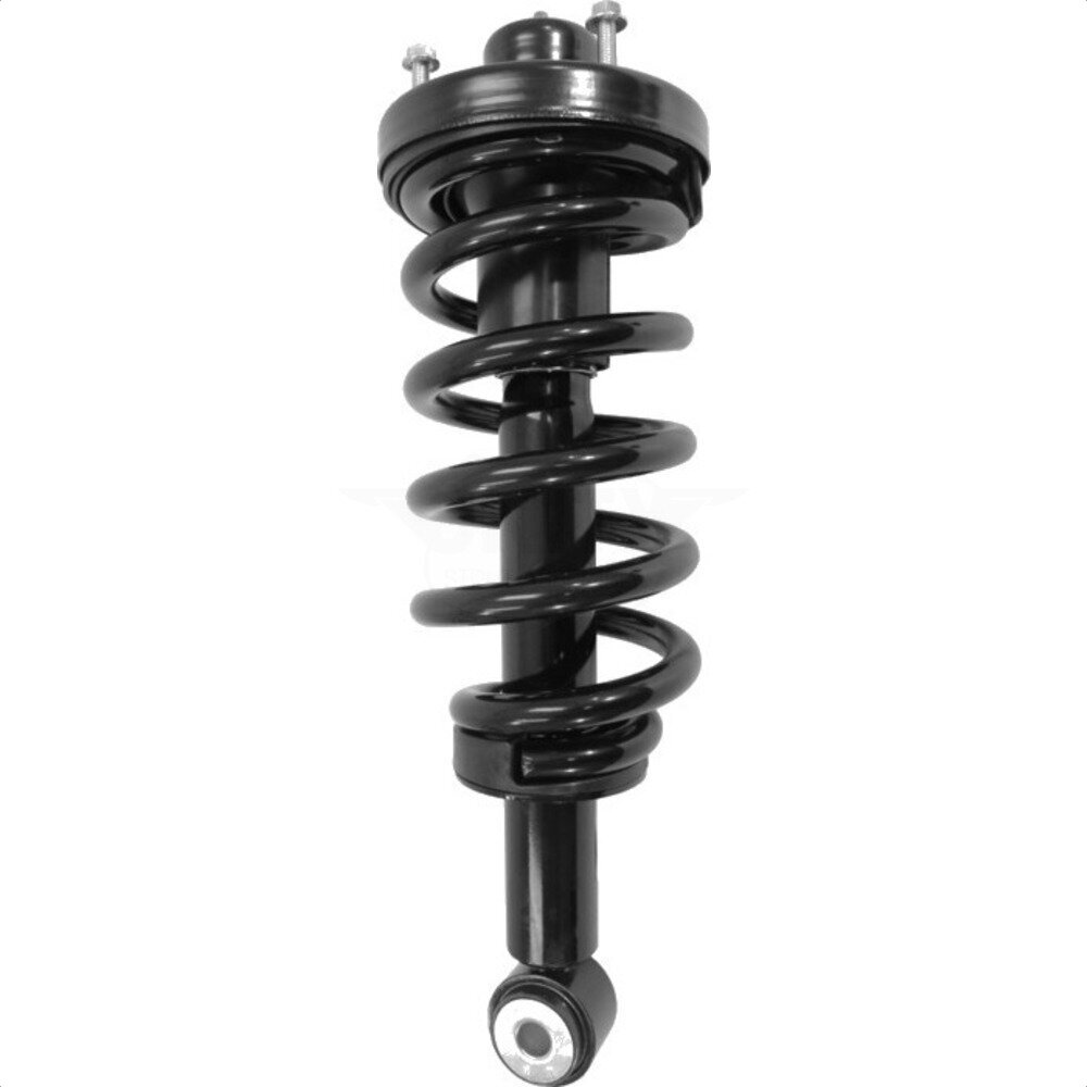 Suspension Strut Coil Spring Assembly