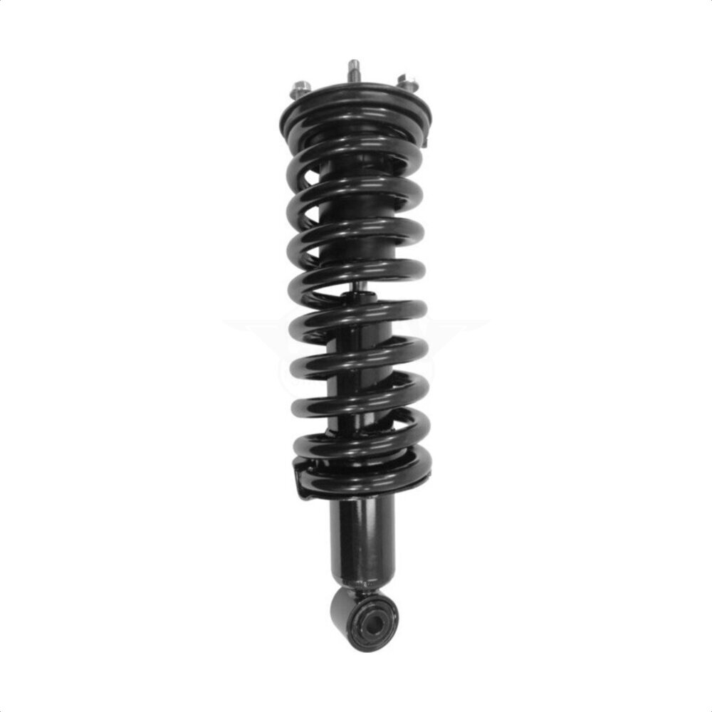 Suspension Strut Coil Spring Assembly