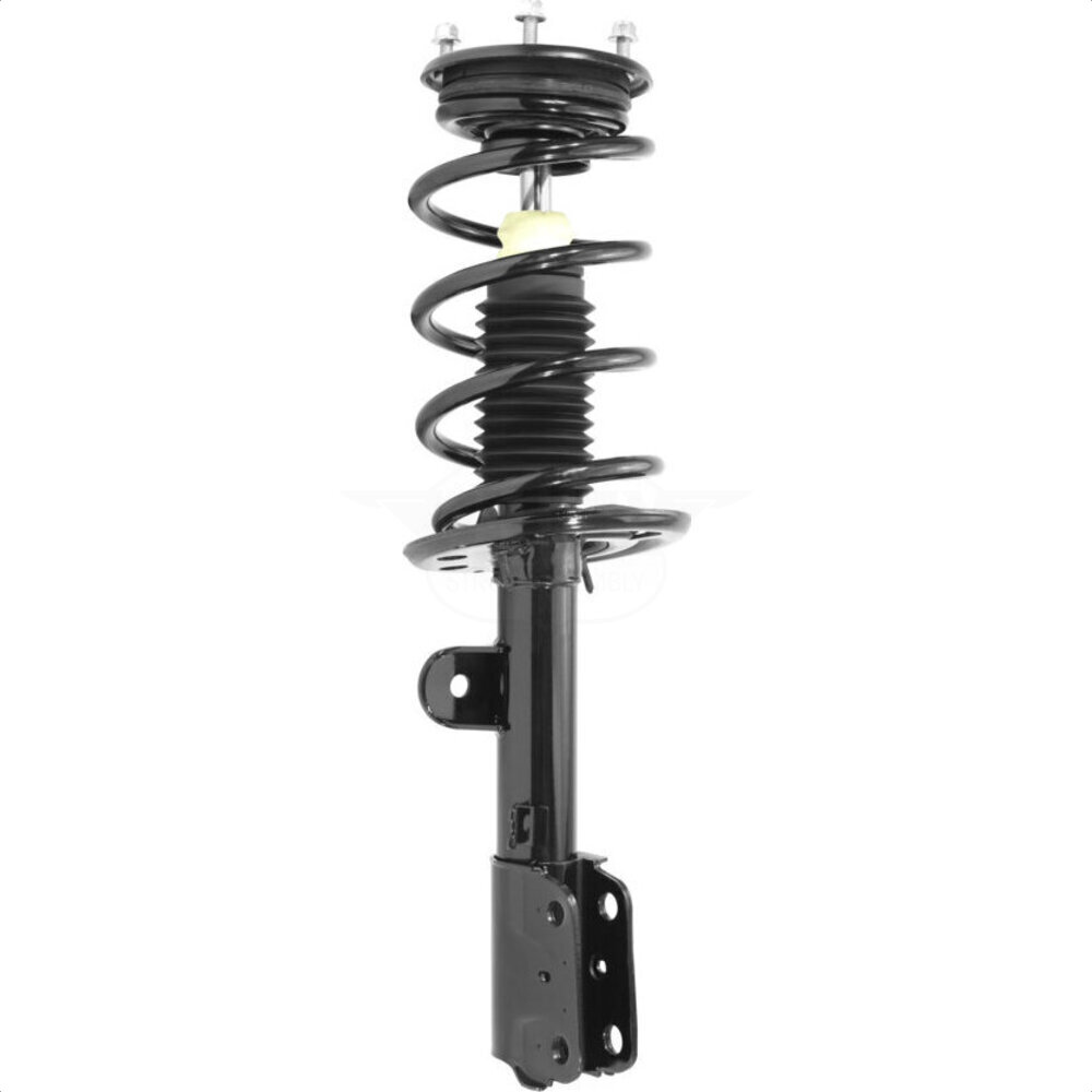 Suspension Strut Coil Spring Assembly