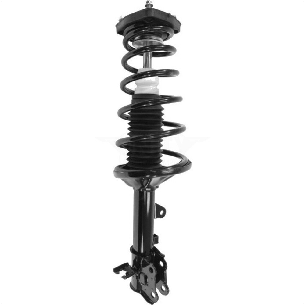 Suspension Strut Coil Spring Assembly
