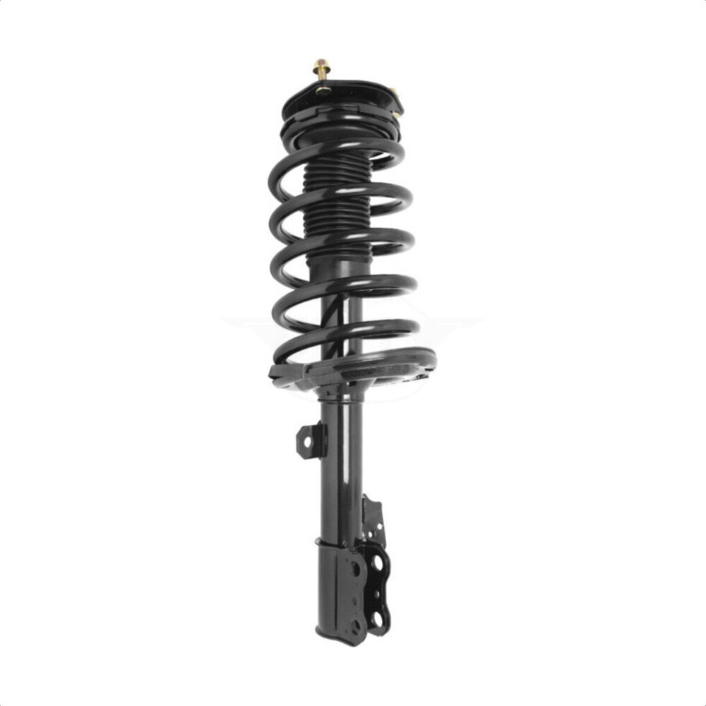 Suspension Strut Coil Spring Assembly
