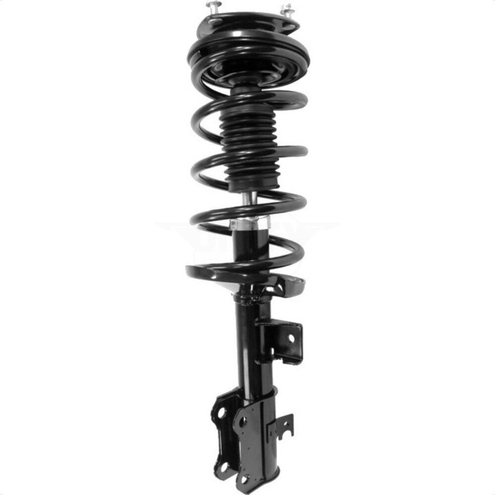 Suspension Strut Coil Spring Assembly